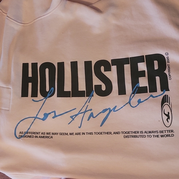 Hollister Pullover Hoodie - Picture 4 of 4